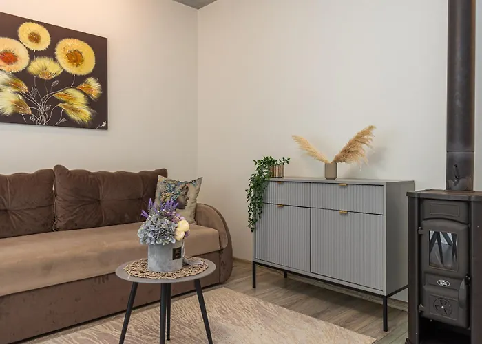 Saules Kopa House Palanga